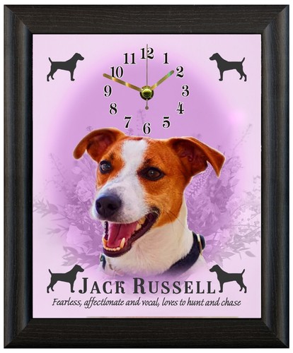 Jack russell terrier regalo - russell,