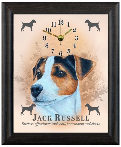Jack russell terrier - russell,