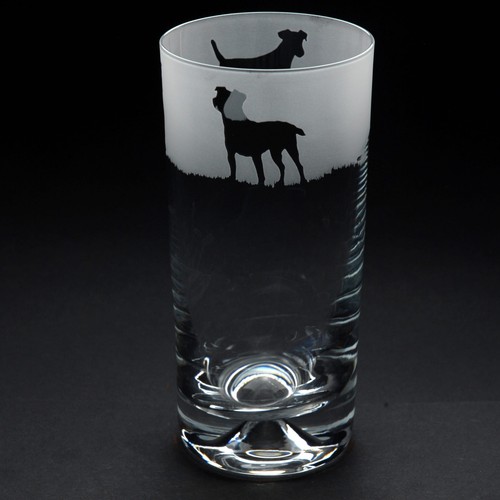 Bicchiere highball per cani - bicchiere,