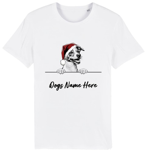 Jack russell shirt cane - russell, t-shirt