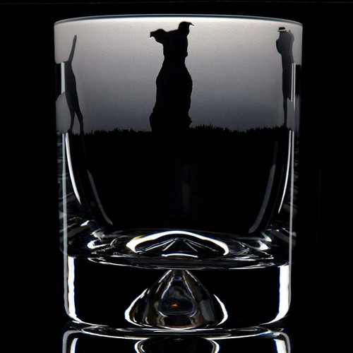 Bicchiere whisky per cani - per,