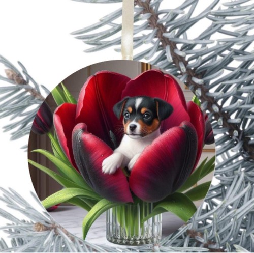 Jack russell cane - da, appendere