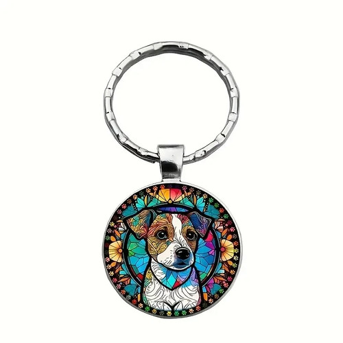 Jack russell dog pet lover - pet,