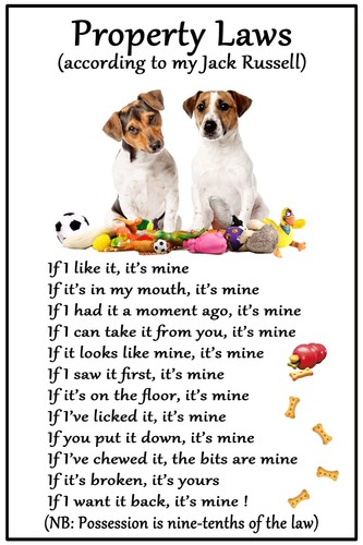 Regalo cane jack - regalo,