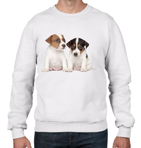 Jack russell cuccioli uomo - russell,