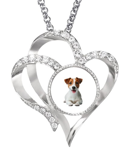 Jack russell dog silver colour - jack,