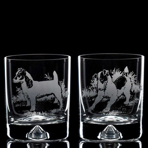 Bicchiere whisky per cani - bicchiere,