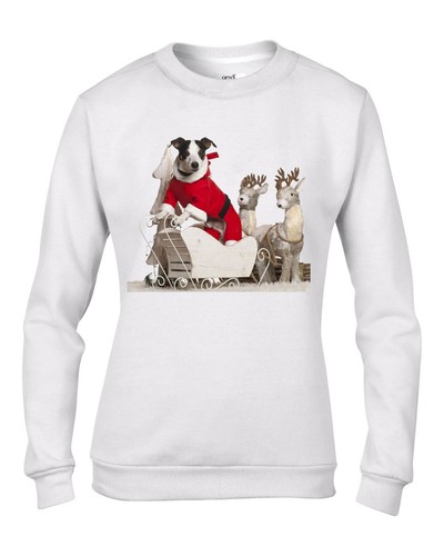 Cane jack russell babbo - cane,