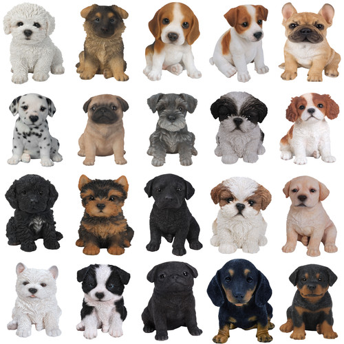 Vivid arts pet pals - vivid,