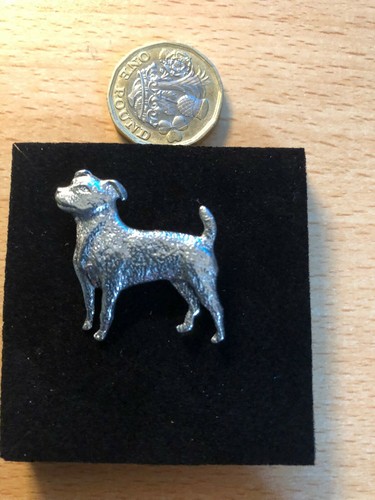 Jack russell dog - russell, pin