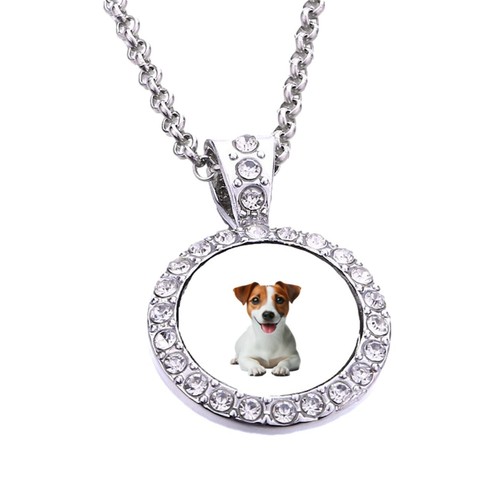Jack russell dog pet silver - jack,