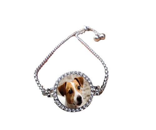 Jack russell pet silver colour - russell,