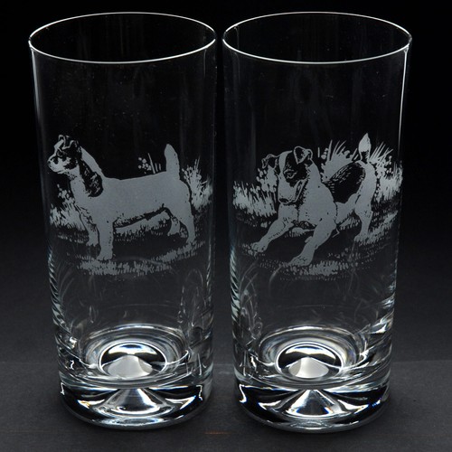 Bicchiere highball per cani - highball,