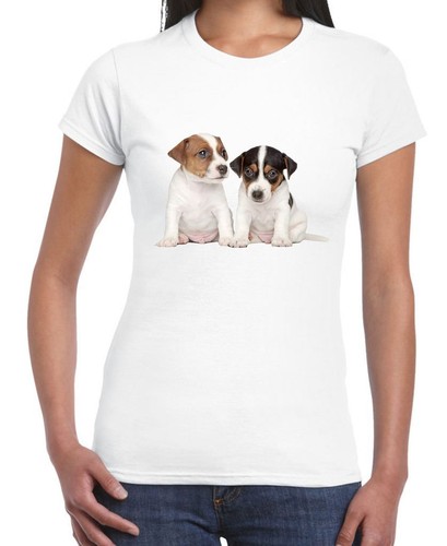 Jack russell cuccioli donna - jack,