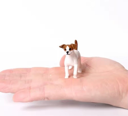 Jack russell terrier cane - jack,