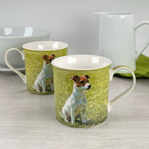 Set tazze jack russell - 2,