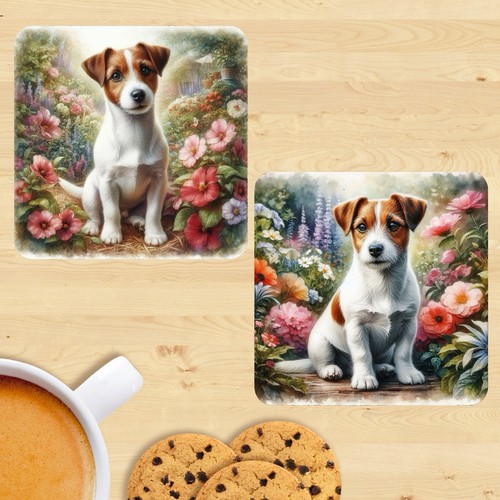 Jack russell terrier coasters - jack,