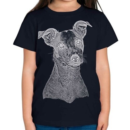 Jack russell terrier - russell, schizzo