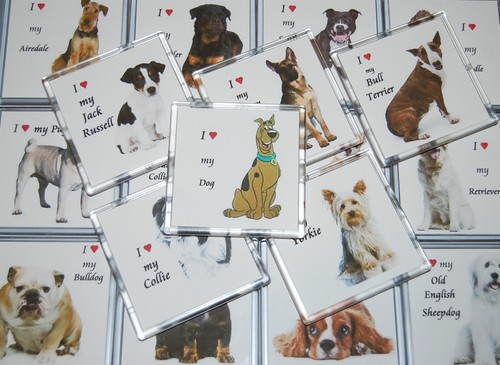 Love dog stupendo - -,
