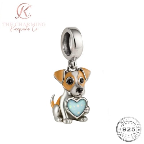Jack russell terrier - terrier, cane