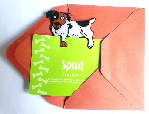 Jack russell terrier dog spud - dog,