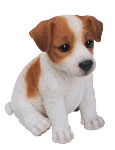 Cane cucciolo brown jack - cucciolo,
