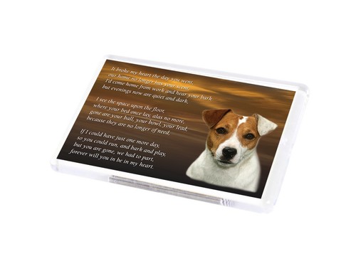 Jack russell dog fridge magnet - jack,