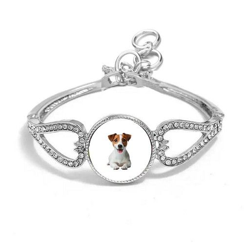Jack russell dog pet - russell,