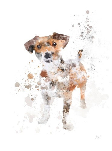 Jack russell art print - jack,
