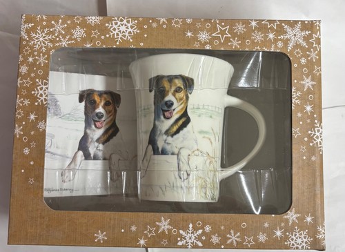 Jack russell terrier - russell,