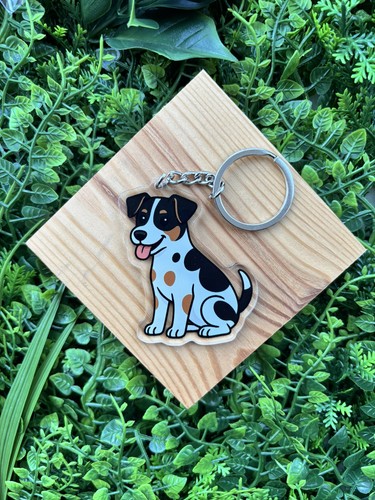 Jack russell terrier - russell,