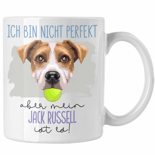Jack russell proprietario - jack,