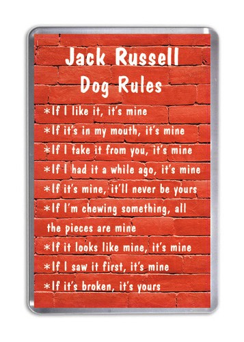 Jack russell dog rules - russell,