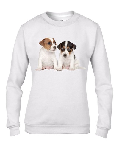 Jack russell cuccioli donna - jack,