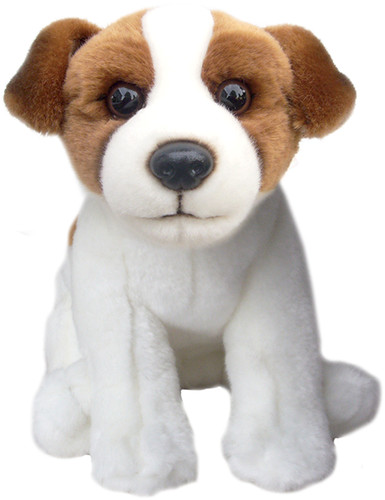 Peluche jack russell - jack,